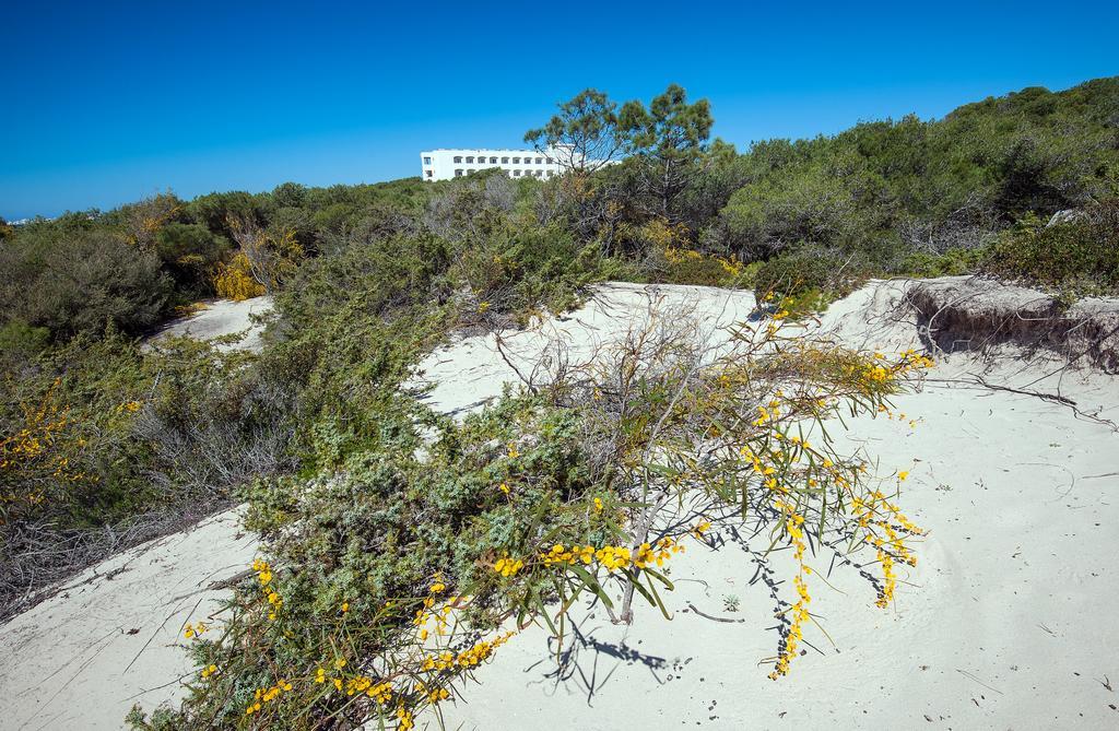 Ecoresort Le Sirene - Caroli Hotels 加利波利 外观 照片
